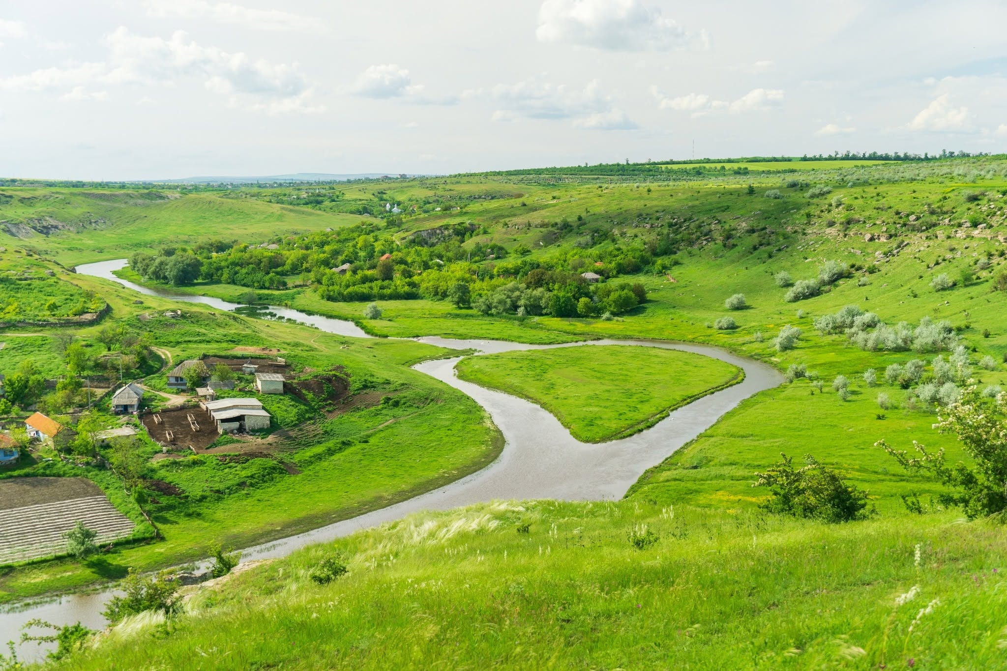 ROGOJENI