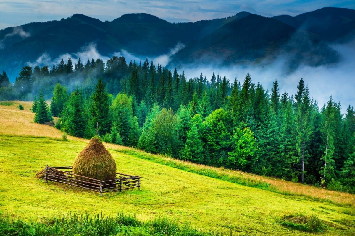Bukovina