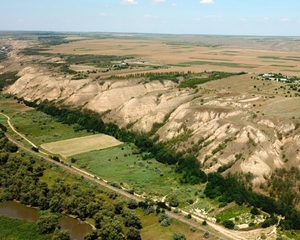 Lower Prut Nature Reserve