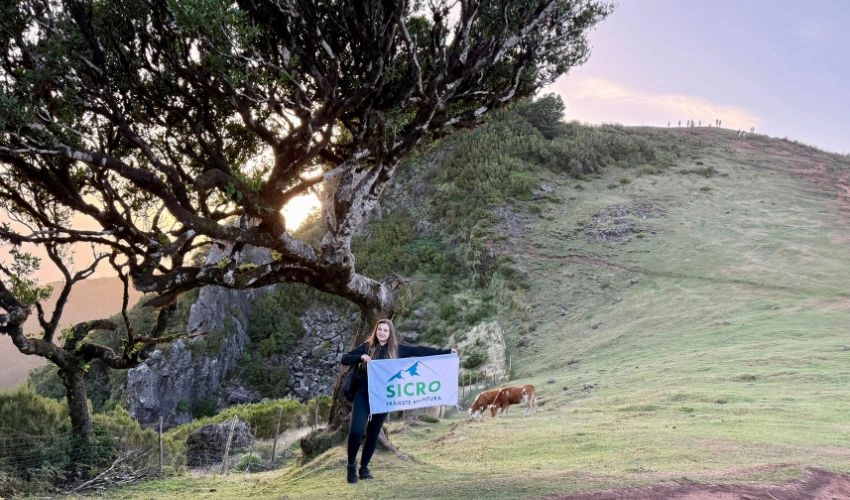 Vacanță de grup în Madeira – Insula Primăverii Eterne