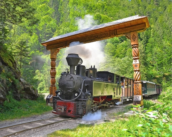 Excursie în Țara Maramureșului: Mocănița + Cascada Cailor