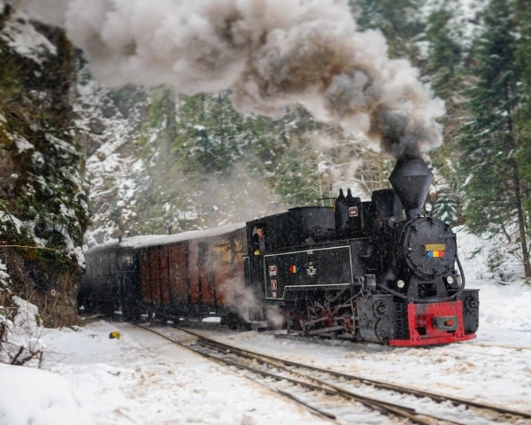 Excursie în Țara Maramureșului: Mocănița + Cascada Cailor