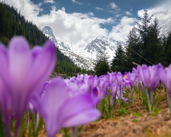 Drumeție ➤ Valea Sâmbetei